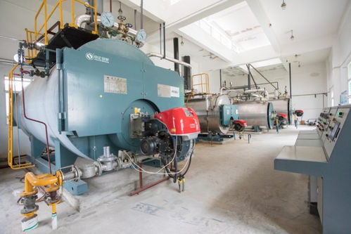 中正鍋爐匠心打造高效燃?xì)忮仩t系統(tǒng)，助力三易食品節(jié)能降耗