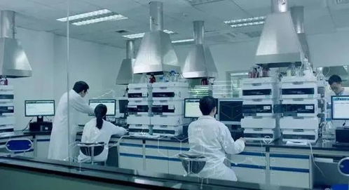 當(dāng)醫(yī)藥巨頭跨界營養(yǎng)品 三十年經(jīng)驗(yàn)如何重塑熱能產(chǎn)品研發(fā)新范式